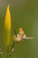 Cjp_2008_05_21_155326 (2).jpg